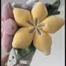 Jellycat趣味花束手捧花趣味植物毛绒玩偶花束公仔植物送礼生日新婚礼物 趣味花束礼盒装 One Size 实拍图