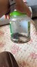 良品铺子高钙DHA藻油海苔拌饭碎250g儿童零食无添加芝麻紫菜碎宝宝拌饭 实拍图
