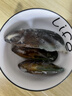 海鲜世家新西兰熟冻原汁全壳青口贝净含量1kg 21-26只/袋原装进口贝类端午 实拍图