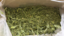 洁西 烘干紫花苜蓿草 兔子牧草干草饲料兔粮龙猫荷兰猪豚鼠零食500g 实拍图