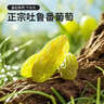 楼兰蜜语绿香妃葡萄干618g免洗无籽节日礼盒新疆特产大颗粒葡萄干休闲零食 实拍图