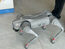 宇树（Unitree）Go2 四足机器狗 仿生陪伴机器人 语音交互 Go2 Pro+遥控器【提升可玩性】 实拍图