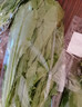 油麦菜约300g 实拍图