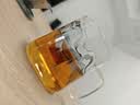 富光·嘉（FU）茶杯高硼硅玻璃杯茶水分离带盖泡茶水杯男士个人专用高档喝茶杯子 实拍图