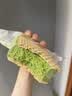 索菲亚冰淇淋 威化抹茶口味雪糕 65g*1支 冰激凌冷饮冰棍方糕 实拍图