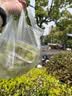 舒洁（Kleenex）湿厕纸80抽*3包家庭装洁厕湿巾纯水婴儿湿厕卫生纸洁厕湿巾 实拍图