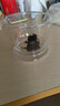 富光花茶杯 男女士茶水分离杯子 双层办公泡茶玻璃杯带把高硼硅水杯 实拍图