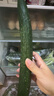 长黄瓜约600g 实拍图