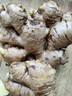 农多鲜 云南小黄姜 新鲜蔬菜现挖现发调味料火锅食材 产地直供 小黄姜净重3斤 精选小黄姜 实拍图
