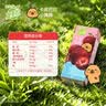 蒙牛真果粒牛奶饮品东魁杨梅味含乳饮料250g×12盒 卡皮巴拉定制装 实拍图
