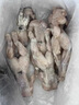 田源程四去免浆牛蛙块1斤装现杀鲜冻 免处理 去皮蛙肉 包邮源头直发 实拍图