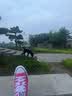 匡威（Converse）All Star夏季男女低帮帆布鞋西瓜红玫红色A06569C A06569C 38 实拍图