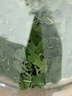 沃绣 蚕宝宝当天发货 活蚕宝宝蚕卵小蚕彩色蚕新鲜桑叶学生养蚕套装 蚕卵20粒+桑叶+毛书盒套装 实拍图