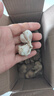 仙果春天精打细蒜 新鲜生鲜蔬菜多瓣大蒜头无添加正宗 鲜大蒜2斤 实拍图