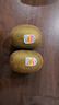 佳沛（zespri）新西兰 金果12粒特大果单果124-146g 端午节礼物水果礼盒 猕猴桃 实拍图