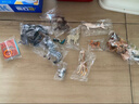 纽奇儿童动物模型玩具男女孩仿真野生动物园套装启蒙认知玩具生日礼物 实拍图
