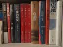 刘亮程作品：本巴（第十一届茅盾文学奖获奖作品，以蒙古族史诗《江格尔》为背景，追溯逝去的人类童年） 实拍图