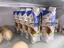 蒙牛【新品尝鲜】真果粒牛奶饮品生榨椰奶含乳饮料利乐梦幻盖300g*2盒 实拍图