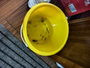 德力普（Delipow）充电电池 5号7号电池 配4节电池充电器套装适用玩具/遥控器/鼠标键盘 实拍图