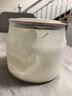 小熊（Bear）酸奶机 家用全自动希腊酸奶奶酪米酒机酸奶发酵菌玻璃内胆陶瓷分杯 SNJ-C10V3 实拍图