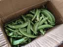 京鲜生云南甜豆 甜豌豆带壳食用 清香甜脆 加冰保鲜发货净重2斤源头直发 实拍图