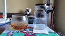 飘逸壶泡茶壶耐热高温玻璃沏茶过滤内胆冲茶器家用茶具套装 飘逸杯500mL1个 实拍图
