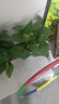 奥美优加仑盆花盆家用大号树脂透气防烂根塑料种植盆栽盆带托盘一体加厚 实拍图