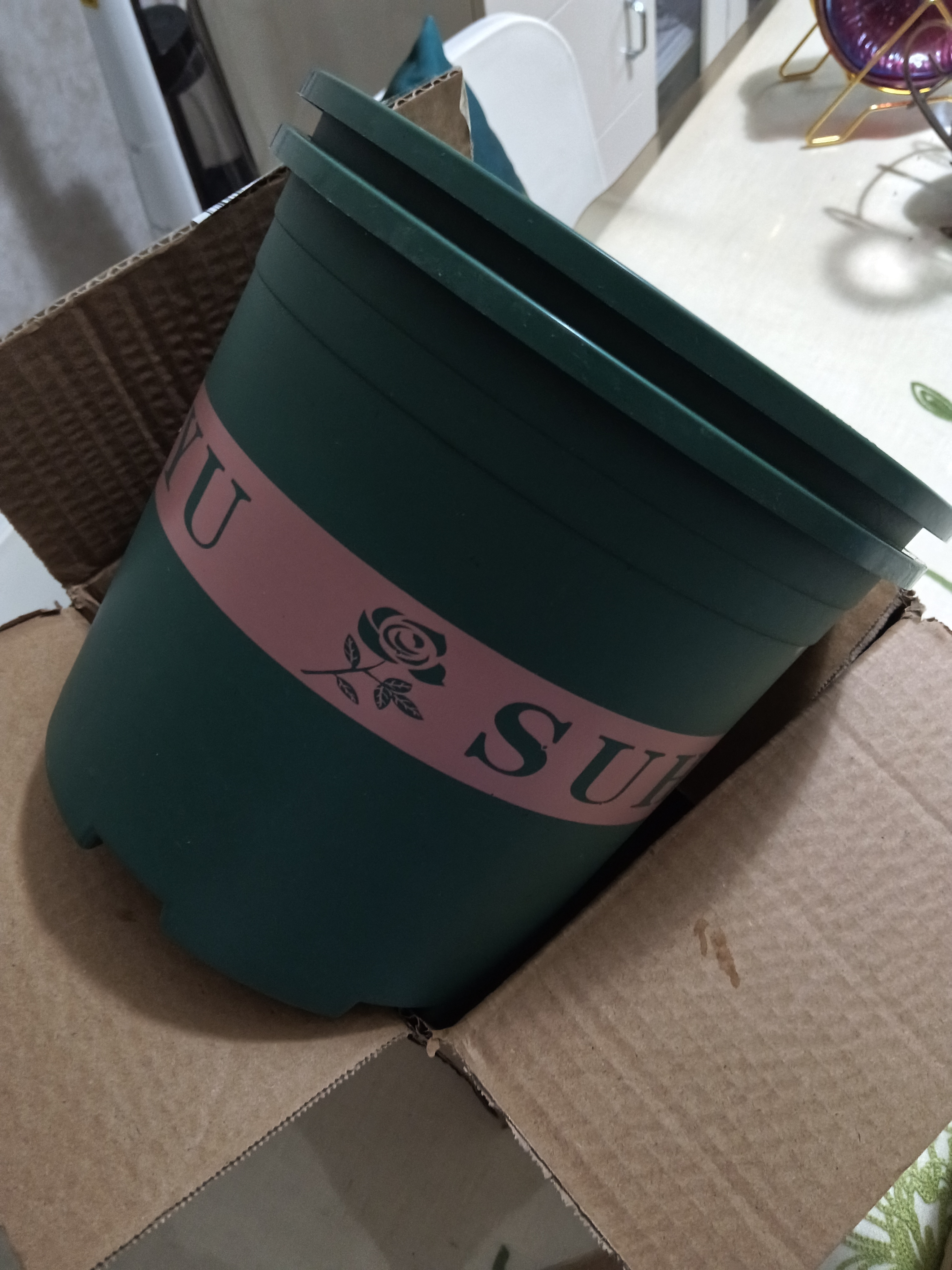 花盆绿植盆栽加厚塑料简约多肉小盆阳台客厅月季玫瑰大号家用花盆 高款2加仑(口径22cm)2个盆 配套托盘 实拍图