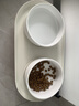 华元宠具（hoopet）猫碗陶瓷双碗狗狗饭盆猫咪食盆喂食器猫粮盆喝水碗防打翻宠物用品 实拍图