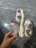 ABC KIDS女童凉鞋夏季童鞋女孩公主鞋儿童软底沙滩鞋3256紫色27 实拍图