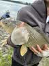 达亿瓦（DAIWA）一击 轻量鲤鱼鲫鱼草鱼罗非 进口鱼竿手杆 轻硬挺 休闲台钓 7.2m 一击T 72.K（大物）【大先径，轻松抛大饵】 不支持使用/试用后退换货 实拍图