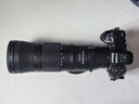 尼康（Nikon）Z 180-600mm f/5.6-6.3 VR 全画幅微单镜头 长焦轻量化 拍鸟 变焦镜头 实拍图