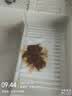 小鱼儿大白瓶前置过滤器家用全屋  自来水大蓝瓶大胖瓶净水器大通量小型中央净水机管道净化设备 10寸双联进阶(配PP+CTO) 实拍图