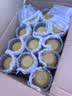 原始黄金新疆骆驼奶粉330g*12罐益生菌无蔗糖驼乳粉高钙成人奶粉 实拍图