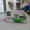 伊利金典纯牛奶 250ml*12盒 3.6g乳蛋白原生高钙 礼盒装 实拍图