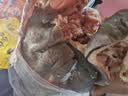 羊头肉4斤八成熟整箱羊脸肉卤全无骨去骨整个新鲜生羊头整只熟食 去骨花羊头肉【5斤装】 实拍图