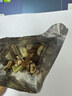 百草味低GI每日纯坚果750g/30袋原味无添加休闲零食独立小包装端午团购 实拍图