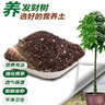 德沃多发财树专用植物营养土2.6kg园艺绿植盆栽养花土种植基质土 实拍图