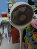 格力（GREE）【重磅新品】99%抗菌AI语音空气循环扇直流变频语音电风扇落地扇家用电扇负离子香薰FXDZ-20X82Ag5 实拍图
