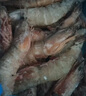 海宴农野生海捕对虾 净重2斤/盒 大号海白虾 26~30只/kg 礼盒端午送礼 实拍图
