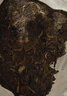 大益TAETEA茶叶普洱茶饼茶 5年陈料天地人和生茶357g/饼 中华老字号 实拍图