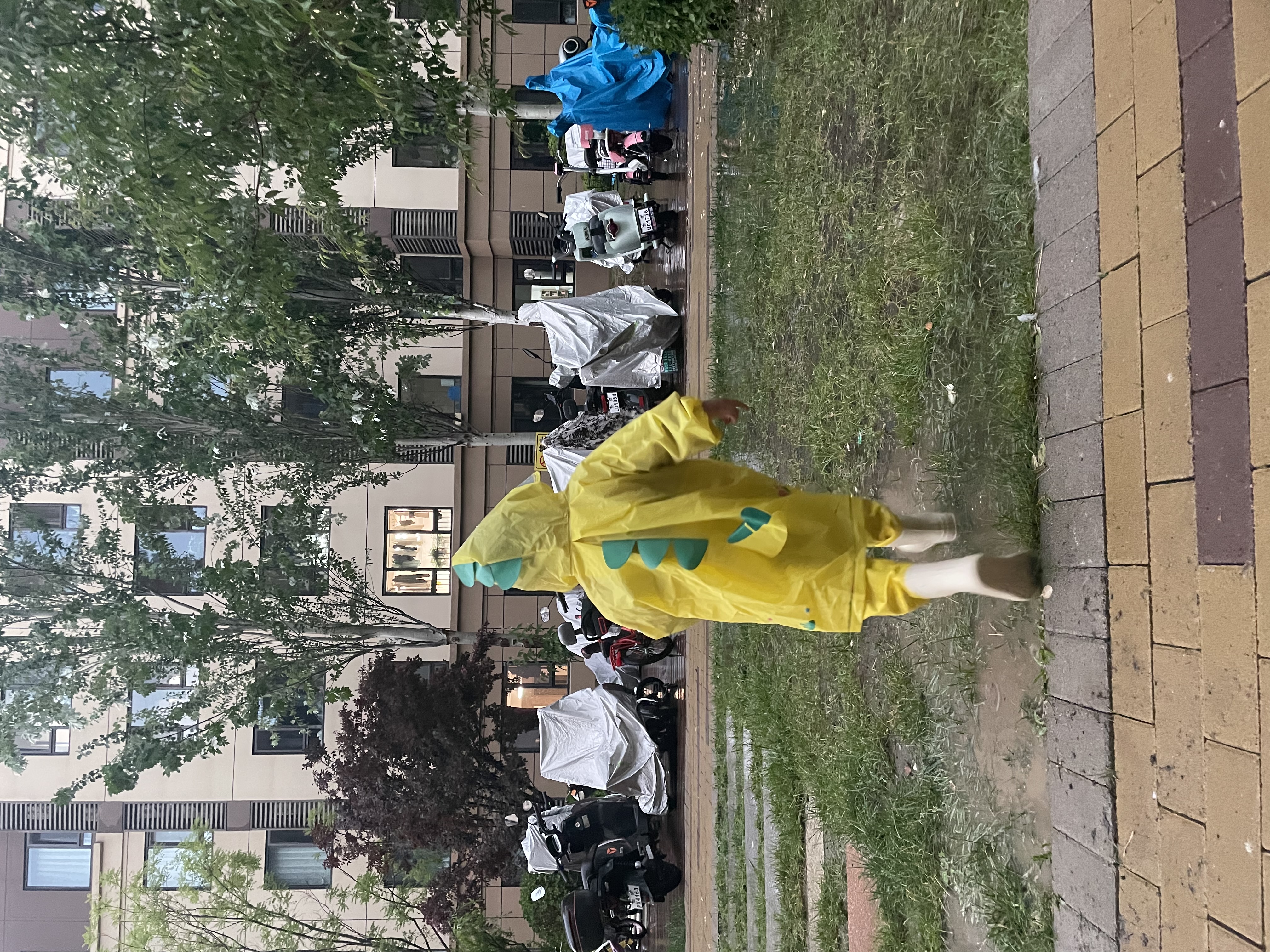 YogelTackle赶海连体裤儿童下水裤捉鱼水衣玩水衣涉水服水裤水鞋一体玩沙水裤 实拍图