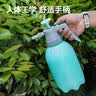 得力（deli）喷壶消毒浇花家用气压式压力喷雾器防疫酒精园艺神器喷水壶杀菌 实拍图