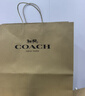 蔻驰（COACH）【品牌直供】女士LAUREL大号手提单肩斜挎流浪包沙黄色CV975礼物 实拍图