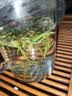 中婺春雨茶叶绿茶浙江茗茶白茶2026新茶嫩芽春茶手采茶叶中秋送长辈礼500g 实拍图