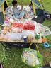 OFEIS户外折叠露营车小推车营地车遛娃拉车买菜宠物小拖车拉杆快递车 实拍图