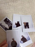 富士（FUJIFILM）【618抢先购】 instax 3英寸立拍立得相机mini迷你相纸 一次成像胶片胶卷 3寸双包+收纳盒+冰箱贴+相册*2【含20张白边】 官方标配 实拍图