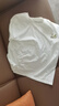 JEANSWEST LIFE真维斯短袖T恤男士纯棉透气夏季男女款半袖体恤青少年宽松五分袖A 实拍图