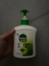 滴露（Dettol）洗手液松木500g瓶 健康抑菌消毒非补充装 儿童家庭用清爽去油 实拍图
