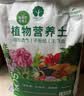 漫生活50L进口营养土通用型 泥炭土养花土种菜土园艺种植土花卉有机土壤 实拍图